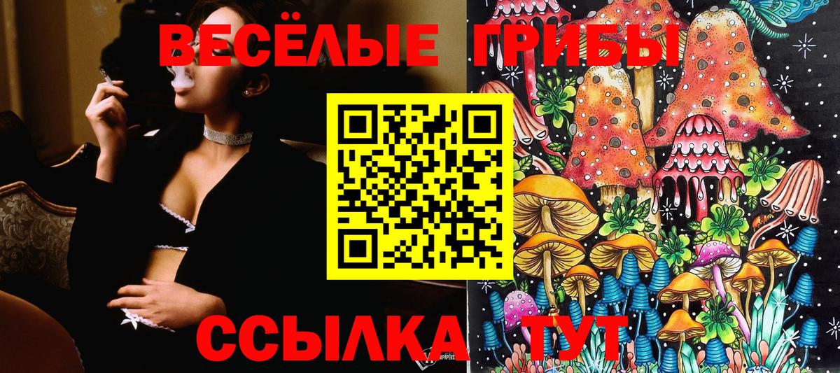 Галлюциногенные грибы мухоморы  Галлюциногенные грибы прущие грибы  купить  цена  Вход с VPN  Ялта 